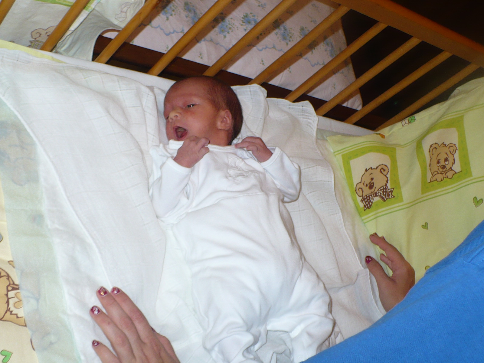 pripravený na jedenie